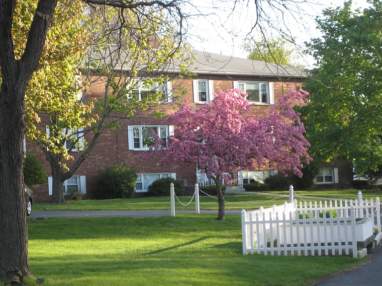 Park Hill Lane Apartments — Photo 13