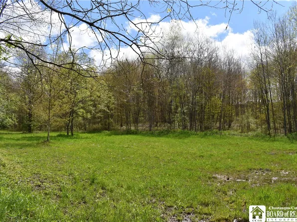 Earl Seaton Rd, Randolph, NY 14772