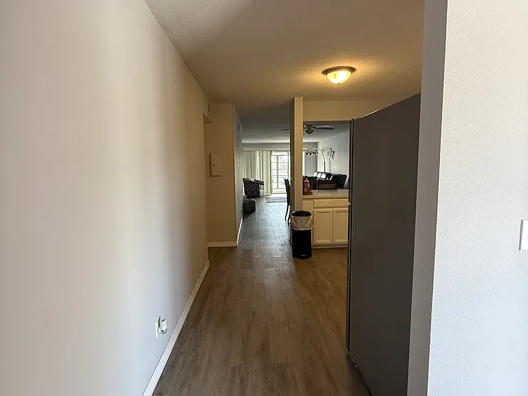 1008 Apollo Beach Blvd #211 — Photo 4