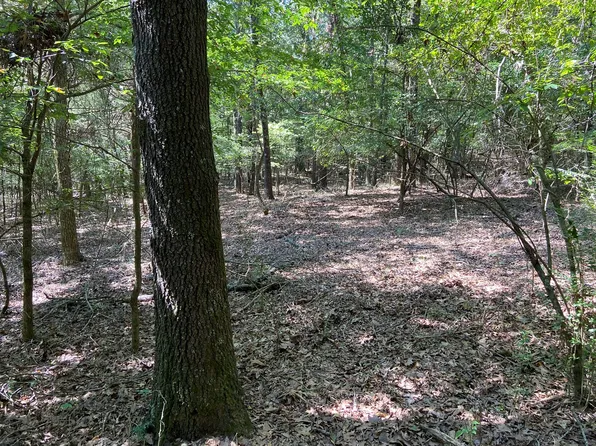 Carter St, Pocahontas, AR 72455
