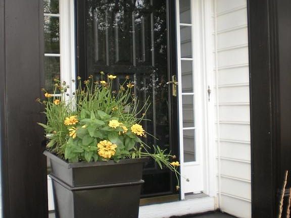 5th image of 4503 Flower Garden Dr