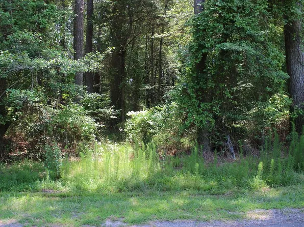 1075 Amidship Dr #1075, Greenbackville, VA 23356