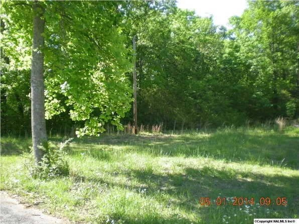 177 Edgehill Ln, Arab, AL 35016