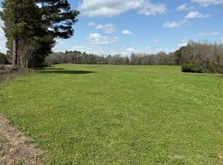 0 County Road 221, Elba, AL 36323