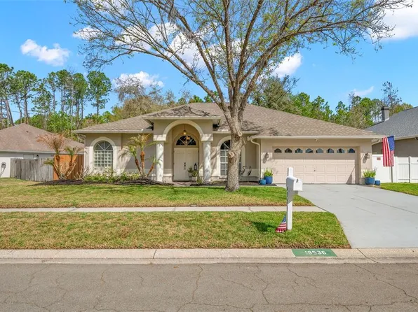 18536 Otterwood Ave, Tampa, FL 33647