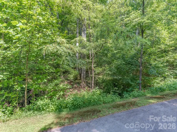 LOT 231 Chesterfield Dr, Mill Spring, NC 28756