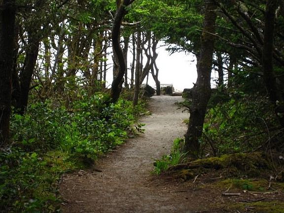 trail leading to beach 