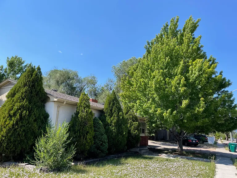 1773 Palmer Park Blvd — Photo 40