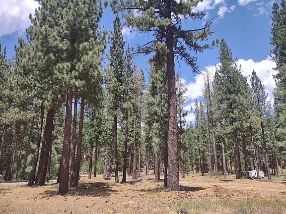 3rd image of 329 Clio State 40a Rd