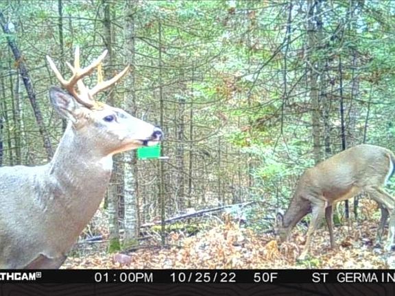5th image of LOT 10 Off Hwy #70