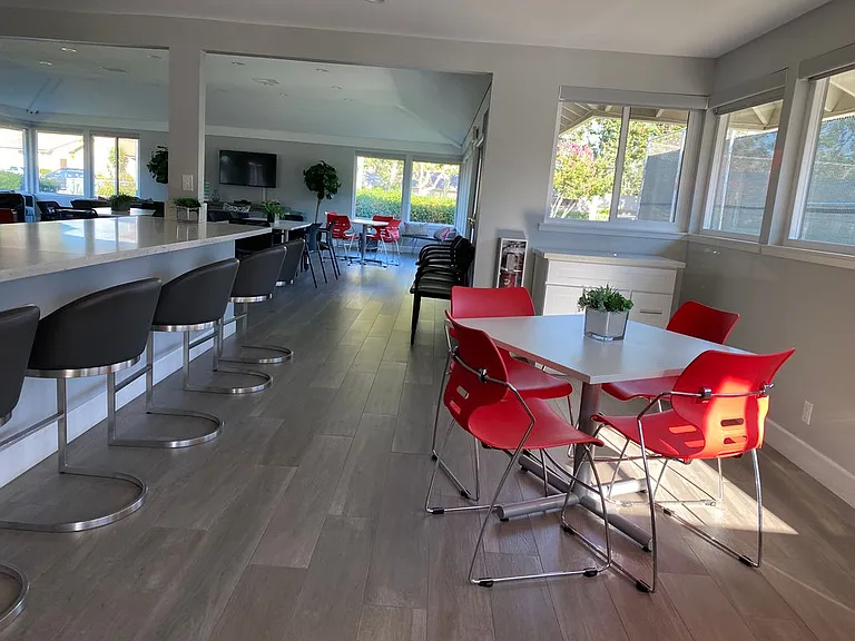 23 Tangelo — Photo 11
