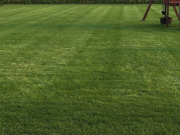 View from Deck of backyard