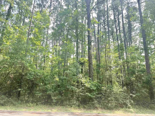 R000118011 Starfish Dr, Hemphill, TX 75948