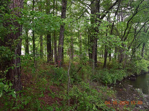 3rd image of Big Duke Lots 13 17