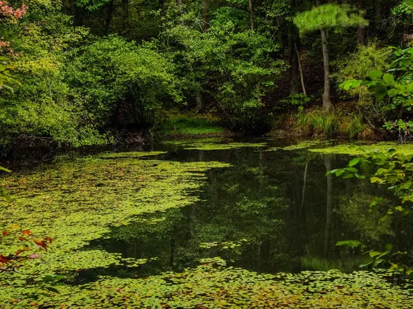 S Packs Mountain Rd, Taylors, SC 29687