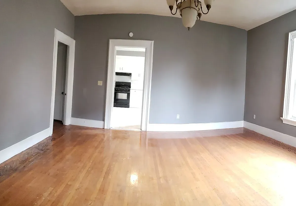 living room area - 1599 Chapel St #2