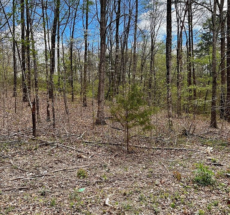 2nd image of 0 Calfee Ln SE Lot S-53