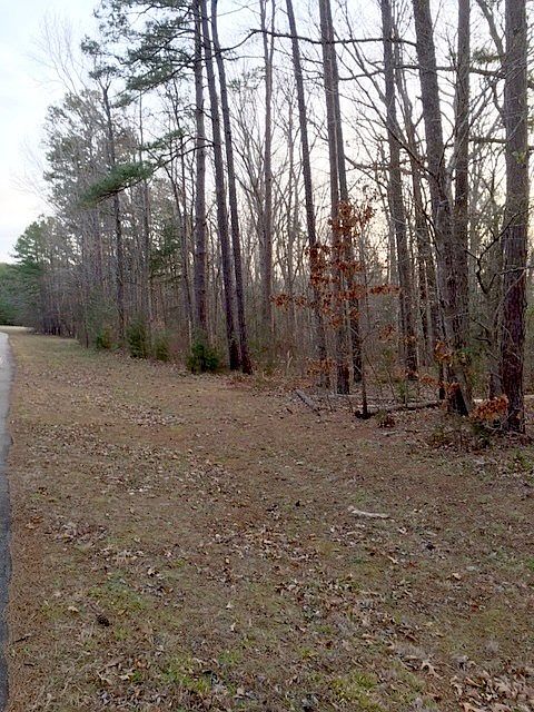 2nd image of Tall Tree Dr