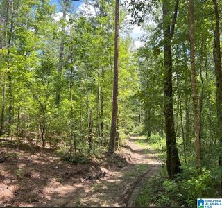 0 Fleming Rd #1, Vincent, AL, 35178