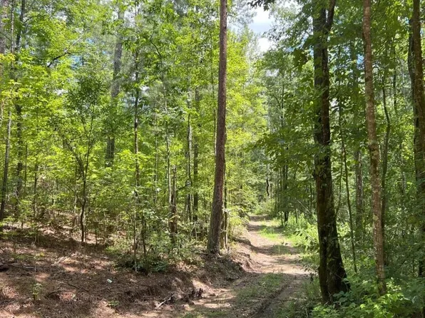 0 Fleming Rd #1, Vincent, AL 35178