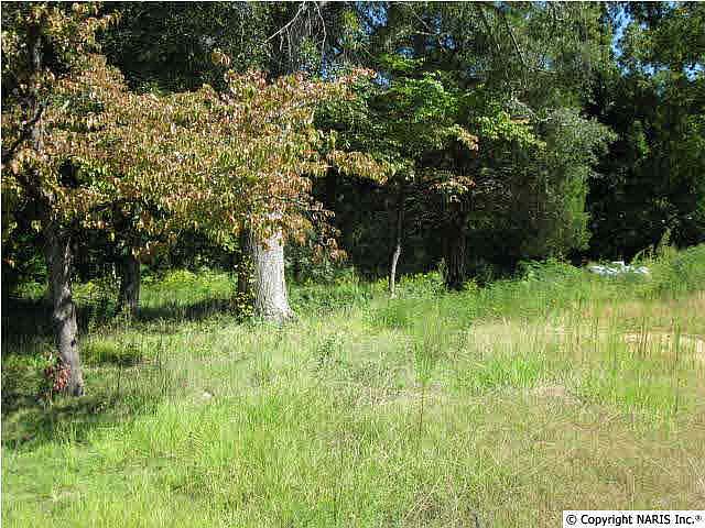 2nd image of 1922 Highway 31 NW