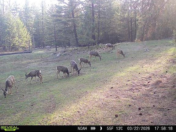 5th image of 1631Q Bonanza Hill Rd N