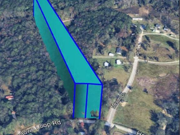 2nd image of 909 Holmestown Loop Rd