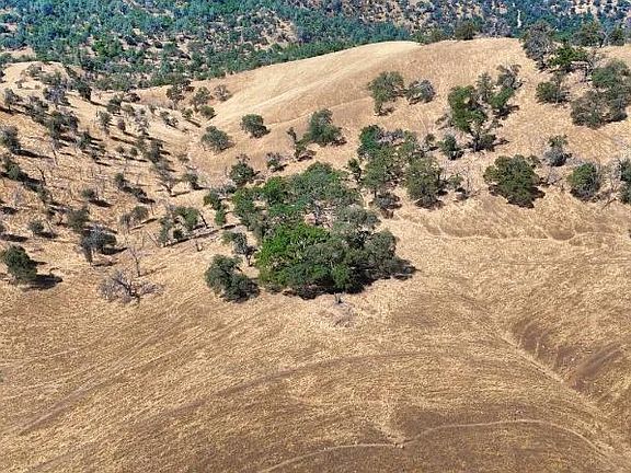 3rd image of 241 Mountain View Peak Rd #O