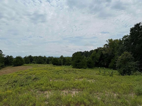 5th image of Polk Rd #71