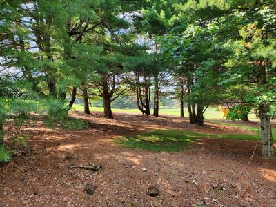 Tbd Evergreen Trl, Fancy Gap, VA, 24328