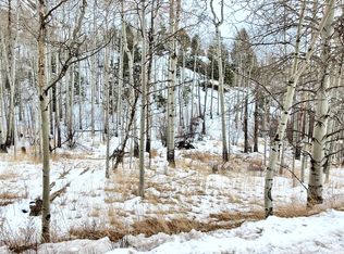 498 Buckhorn Rd, Cripple Creek, CO 80813