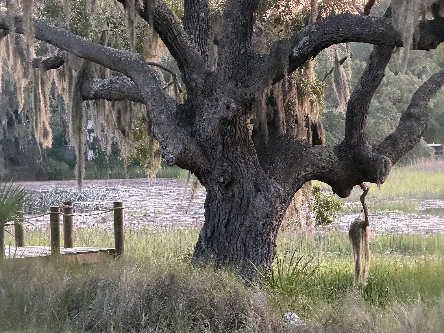 Godley Rd, Saint Helena Island — Photo 4