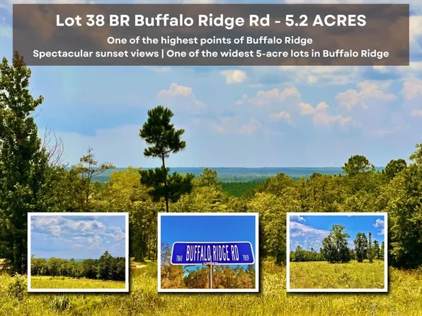 LOT Buffalo Ridge Rd, Milton, FL 32571