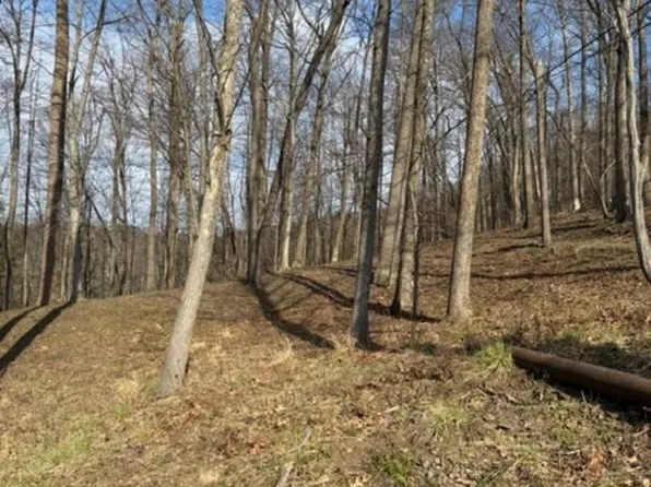 Windsor Dr, Bridgeport, WV 26330