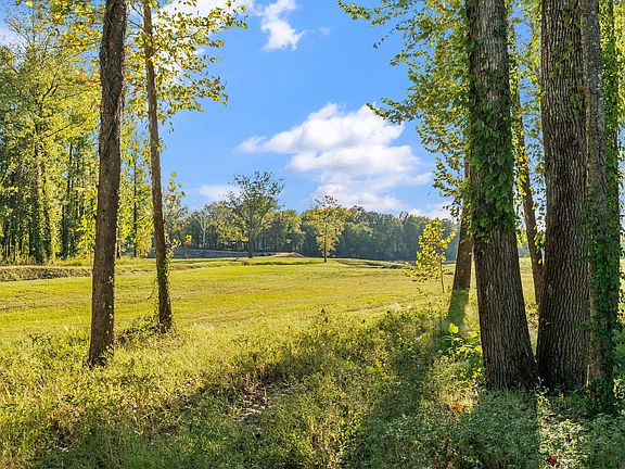 11th image of this home