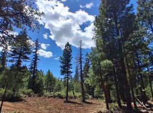 0 Quartz Ln LOT 4, Alturas, CA 96101