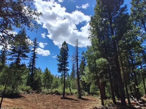0 Quartz Ln Lot 4, Alturas, CA 96101