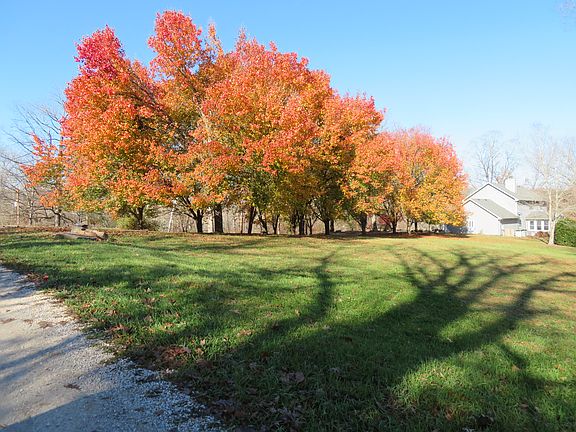 Tree lined drive, front yard