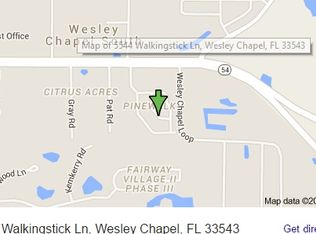 5544 Walkingstick Ln, Zephyrhills, FL 33543