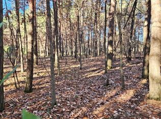 10034 Sherwood Cir, Stanwood, MI