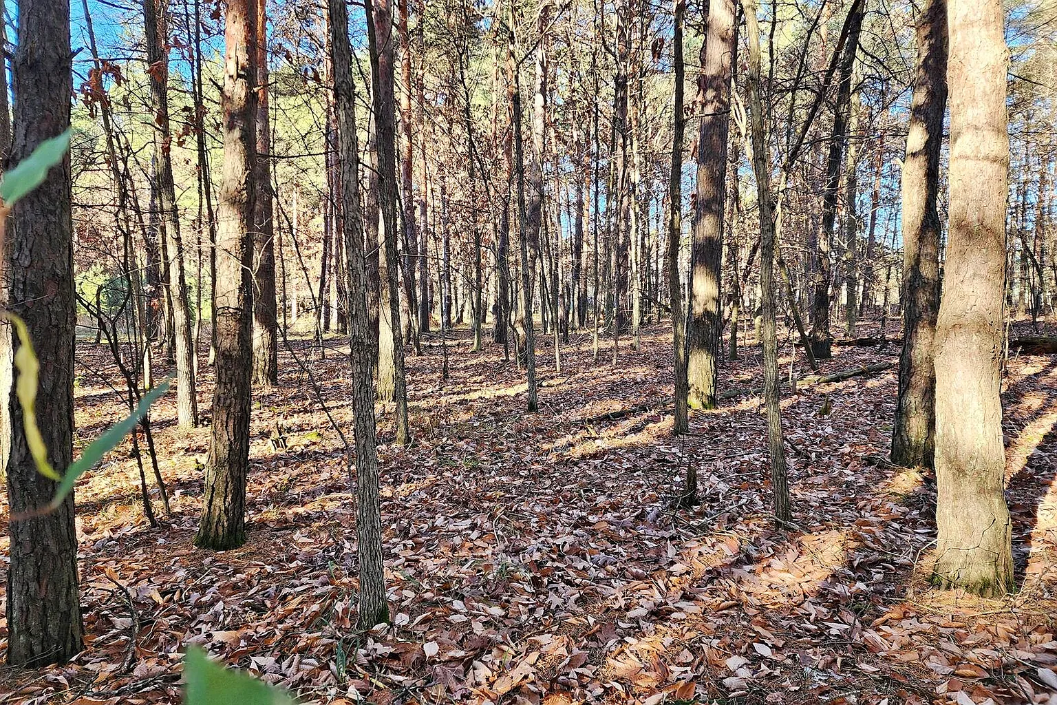 10034 Sherwood Cir photo 1
