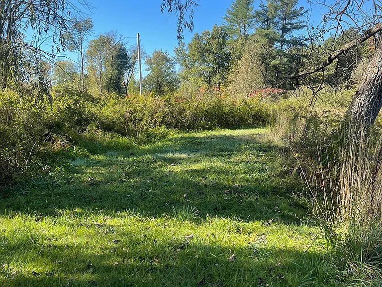 Left Side of pond
