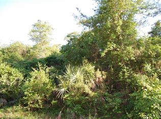 Oakwood Rd, Deland, FL 32720