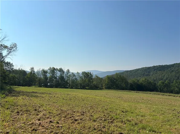 778 Bragg Hollow Rd, Halcottsville, NY 12438