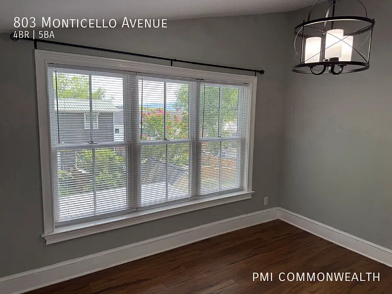 803 Monticello Ave — Photo 36