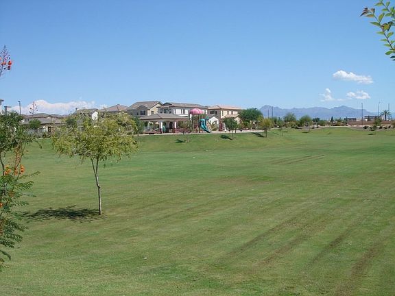 Common Area - Green Belt