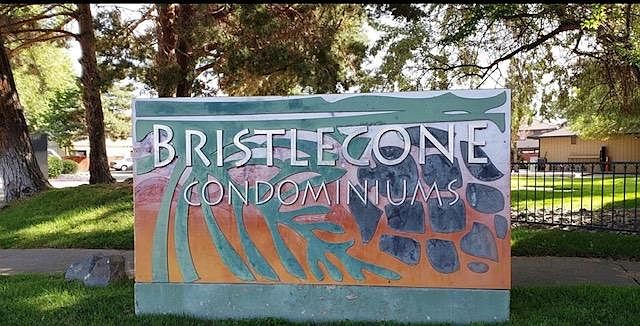 1st image of 3214 Bristle Branch Dr