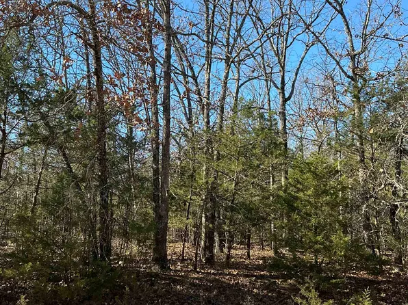 Wolf Hollow Cir, Ash Flat, AR 72513