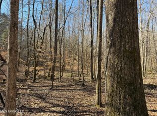 County Road 186, Coffeeville, MS 38922