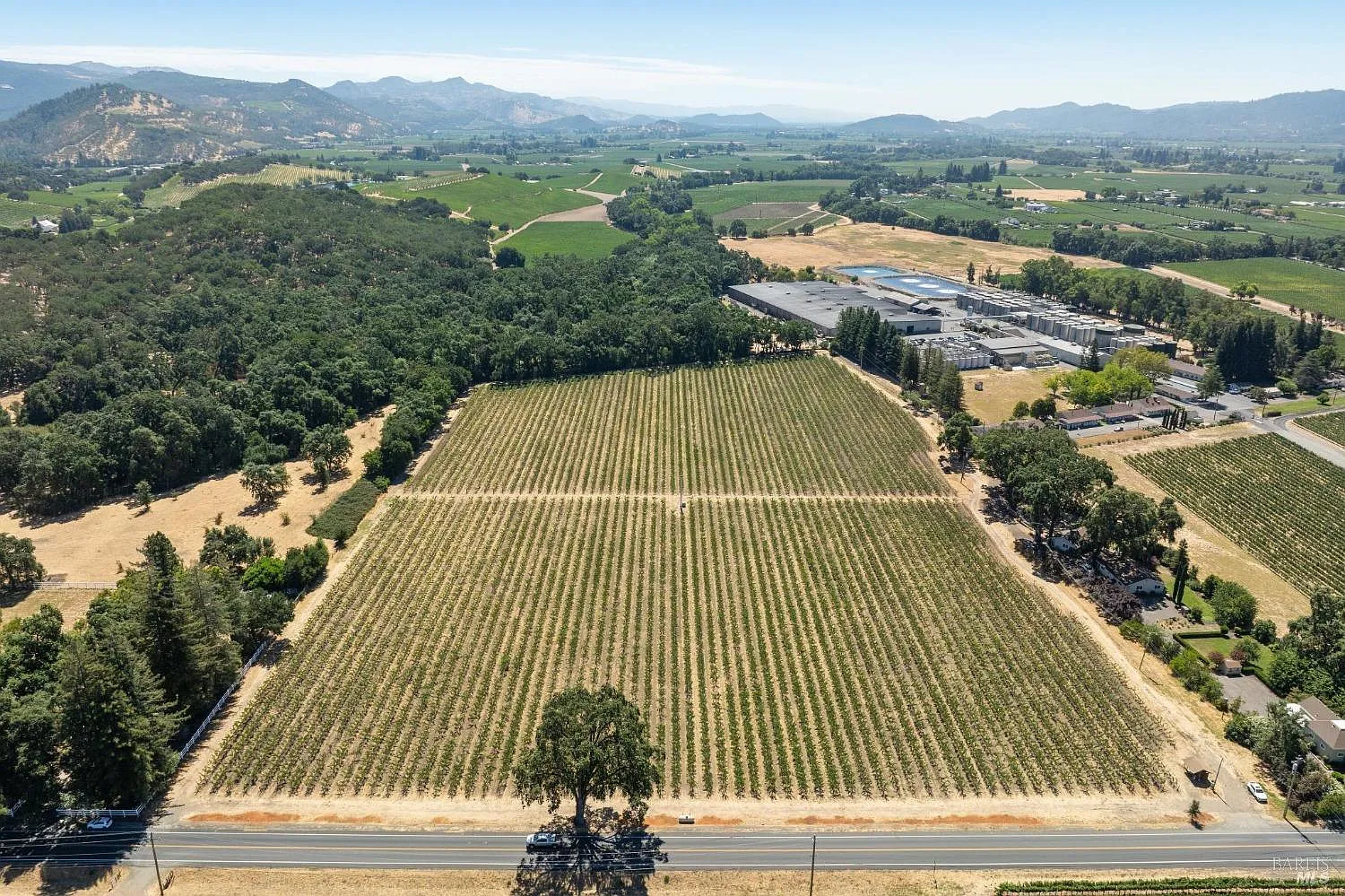 79 Zinfandel Lane photo 1